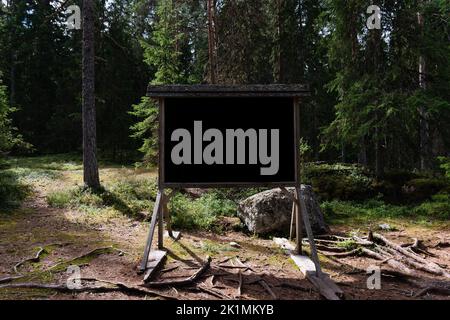 Tafel im Sommer in einem skandinavischen Kiefernwald Stockfoto
