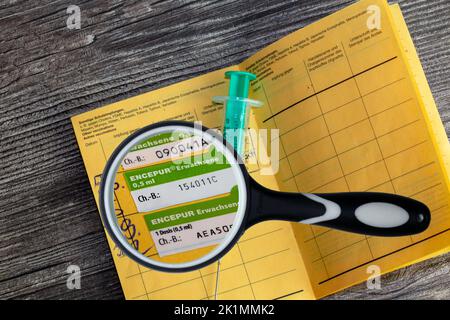 Symbolbild Zeckenimpung: Aufgeschlagenes gelbes Impfbuch mit einem neuen Eintrag für eine Zeckenimpung Stockfoto