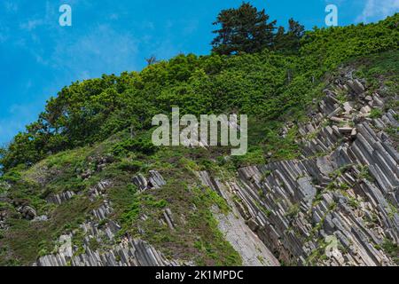 Die steilen Basaltklippen sind von üppiger Vegetation überwuchert Stockfoto