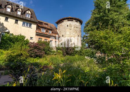 Höllturm und Stadtgartenund Stadtgarten in Radolfzell am Bodensee, Baden-Württemberg, Deutschland | Höllturm und Stadtgarten Stadtgärten in Stockfoto