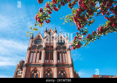 Tangermünde - Historisches Rathaus im Backsteingotik-Stil, Tangermünde, Sachsen-Anhalt, Deutschland Stockfoto