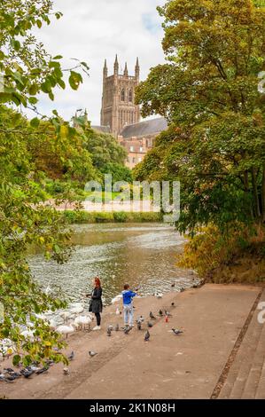 Worcester Cathedral Worcestershire Stockfoto