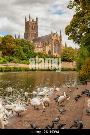 Worcester Cathedral Worcestershire Stockfoto