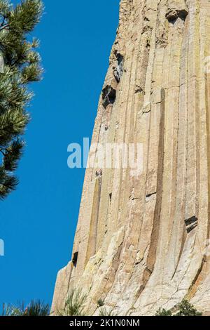 Devils Tower National Monument, Wyoming, USA: Drei Kletterer besteigen die Säulen des geologischen Turms. Stockfoto