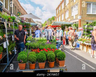 London Vereinigtes Königreich Juni 14 2009; Pflanzen in Töpfen und Setzlingen zum Verkauf auf dem Samstagsmarkt in der Stadt. Stockfoto