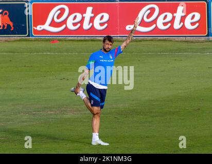 Florenz, Italien. 19. September 2022. Italien Francesco Acerbi Portrait während der Pressekonferenz und Italien Training Session, andere in Florenz, Italien, September 19 2022 Quelle: Independent Photo Agency/Alamy Live News Stockfoto