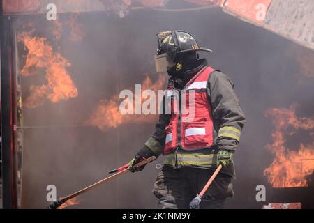 Mexiko-Stadt, Mexiko. 19. September 2022. Elemente des Katastrophenschutzes, Fire corp und Freiwillige nehmen an der Erdbebenübung der Stärke 7,1 Richter Teil, um Menschen zu lehren, wie Sicherheitspersonal im Rahmen des Gedenkens an das Erdbeben von 2017 handeln sollte, um den Opfern zu helfen. Am 19. September 2022, Mexiko-Stadt, Mexiko. (Bild: © Carlos Tischler Eyepix Group/eyepix via ZUMA Press Wire) Bild: ZUMA Press, Inc./Alamy Live News Stockfoto