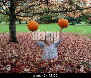 Die 8-jährige Hannah Walker schnitzt gerne einen Kürbis beim Kürbis-Schnitzerfest für Kinder in den Hilliers Gardens bei Romsey, Hants. Pic Mike Walker, Mike Walker Pictures,2014 Stockfoto