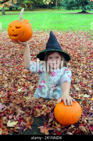 Die 8-jährige Hannah Walker schnitzt gerne einen Kürbis beim Kürbis-Schnitzerfest für Kinder in den Hilliers Gardens bei Romsey, Hants. Pic Mike Walker, Mike Walker Pictures,2014 Stockfoto