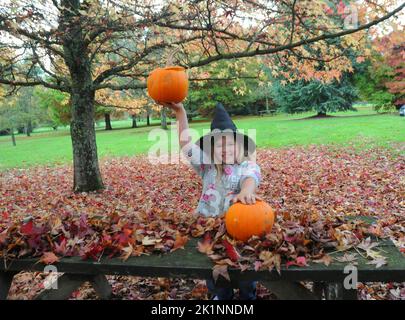 Die 8-jährige Hannah Walker schnitzt gerne einen Kürbis beim Kürbis-Schnitzerfest für Kinder in den Hilliers Gardens bei Romsey, Hants. Pic Mike Walker, Mike Walker Pictures,2014 Stockfoto