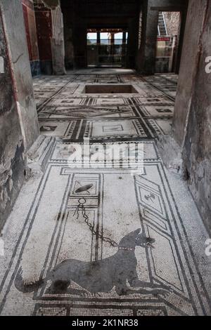 Die Vorhalle oder der Eingangsbereich des Hauses des Paquius Proculus in Pompeji, Italien, ist mit einem Mosaik mit einem an eine Tür geketteten Wachhund gepflastert. Stockfoto