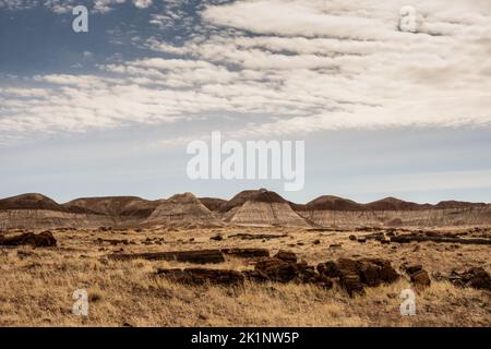 Badlands-Formationen und lange Baumstämme aus versteinertem Holz unter wolkendem Himmel im Arizona Park Stockfoto