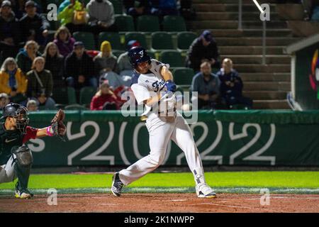 Regensburg, Bayern, Deutschland. 16. September 2022. Der französische Outfielder BASTIEN DAGNEAU (30) schwingt im Armin Wolf Stadium in Regensburg bei der Weltbaseball Classic Qualifikation gegen Großbritannien. (Bild: © Kai Dambach/ZUMA Press Wire) Stockfoto