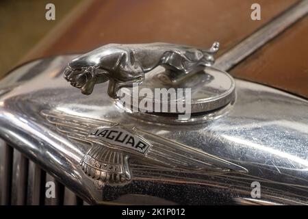 PRAG, TSCHECHIEN, AUGUST 10 2022, Frontmaske des Oldtimers mit Jaguar-Logo Stockfoto