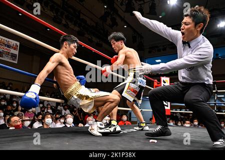 Tokio, Japan. 13. September 2022. Schiedsrichter Nobuhiro Matsubara beendet den Kampf, nachdem Keisuke Matimoto (rote Handschuhe) Ryota Ishida (blaue Handschuhe) in der zweiten Runde während des federleichten Kampfs 8R in der Korakuen Hall in Tokio, Japan, am 13. September 2022 niedergeschlagen hatte. Quelle: Hiroaki Finito Yamaguchi/AFLO/Alamy Live News Stockfoto