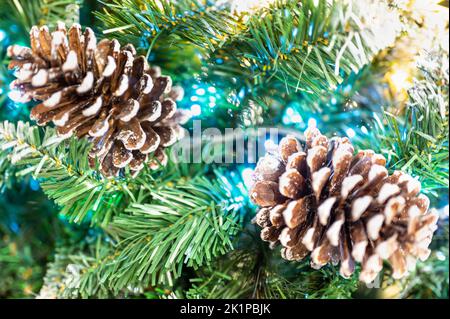 Frostige Tannenzapfen Hängen An Den Evergreen-Zweigen. Verschneite Tanne Verzweigt Sich Mit Schnee. Schöne grüne Tannenzweige aus der Nähe. Weihnachten und Winter Konz Stockfoto