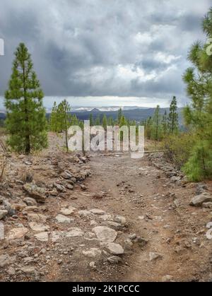 Landschaft um Vilaflor, eine Gemeinde und ein Dorf im südzentralen Teil der Insel Teneriffa, einer der Kanarischen Inseln und Teil von Santa Stockfoto