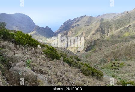 Berglandschaft zwischen masca und Teno auf Teneriffa, Kanarische Inseln, Spanien Stockfoto