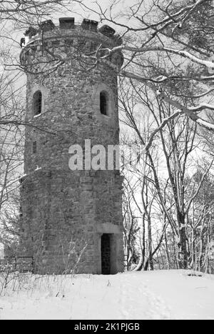 Eine vertikale Graustufenaufnahme eines alten Turms am Steinberg im Harz bei Goslar Stockfoto