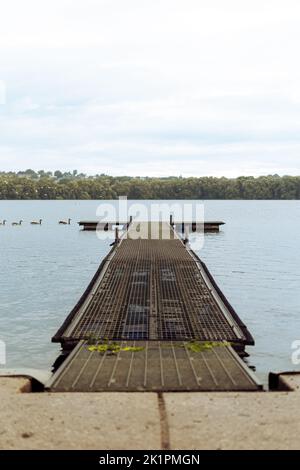 Eine vertikale Aufnahme eines Piers auf dem Wasser mit schwimmenden Enten und Bäumen im Hintergrund Stockfoto