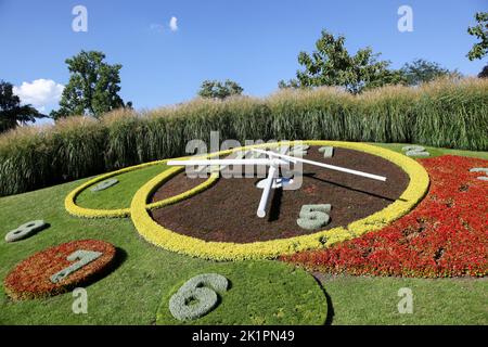 Die Blumenuhr in Genf, Schweiz Stockfoto