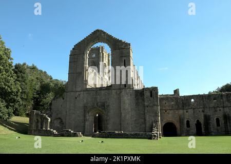 Die Ruinen der Fountains Abbey, einem Zisterzienserkloster in der Nähe von Ripon in North Yorkshire, England, Großbritannien. Stockfoto