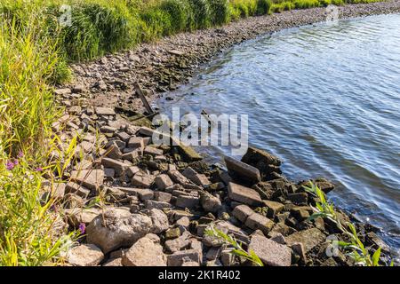 Extrem niedrige Wasserstände im Rhein und Niederrhein im Sommer 2022 bei Wageningen in Gelderland. Stockfoto