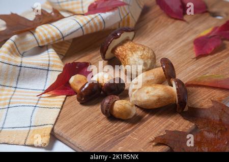 Herbstzusammensetzung mehrerer Boletus badius, Imleria Badia oder Bay Bolete mit lebendigen Herbstblättern auf Holzschneidebrett. Essbarer und porierter Pilz ha Stockfoto