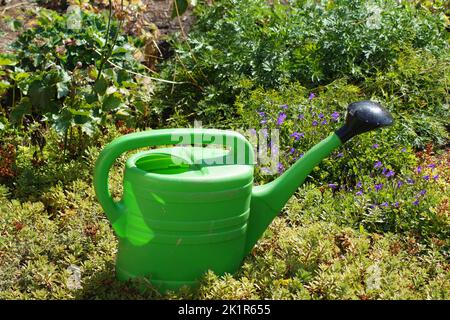 Eine grüne Gießkanne steht im Garten, nachdem die Betten bewässert wurden Stockfoto