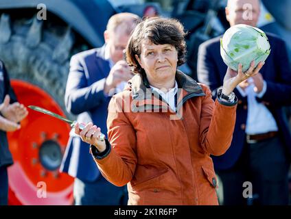 20. September 2022, Schleswig-Holstein, Eesch-Elpersbüttel: Ute Borwieck-Dethlefs (CDU), Landratsvorsitzende des Landkreises Dithmarschen, präsentiert bei den Dithmarsch-Kohltagen einen von ihr geschnittenen Kohl. Landwirtschaftsminister Schwarz CDU) ist Ehrengast. Foto: Axel Heimken/dpa Stockfoto