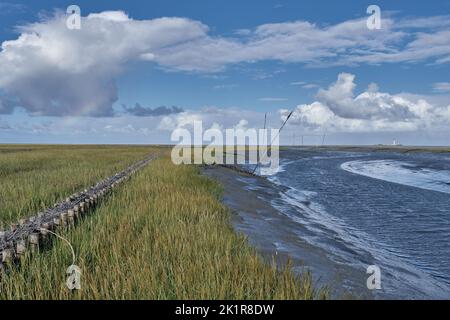 Blick von Tuemlauer Koog auf den Westerhever Leuchtturm an der Nordsee in Nordfriesland Stockfoto