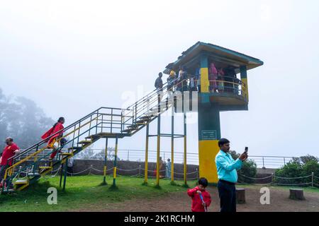 Moir Point befindet sich am Eingang des Waldes. Dieses beliebte Ziel mit einem Wachturm bietet malerische Ausblicke auf die Talberge, 18-08-22. Stockfoto