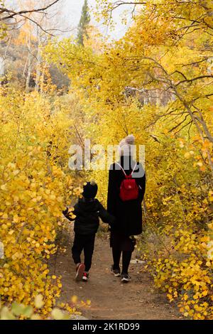 Eine vertikale Aufnahme einer Frau und eines Kindes, die in einem Herbstpark unter einem bewölkten Himmel spazieren gehen Stockfoto