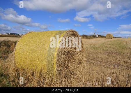 Heuballen in Irland Stockfoto