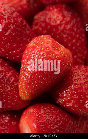 Viele rote reife Erdbeeren aus der Nähe. Stockfoto