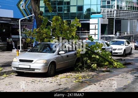 Stadt Stadtansicht Auto Unfall gebrochenen Baum starken Wind Nahaufnahme Hintergrund Stockfoto