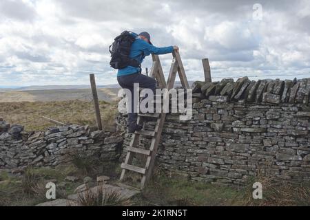 Eineiiger Mann klettert Holzleiter über die Steinmauer in der Nähe des Gipfels von „Buckden Pike“ in Wharfedale, Yorkshire Dales National Park, England, Großbritannien. Stockfoto