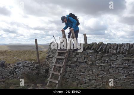 Eineiiger Mann klettert Holzleiter über die Steinmauer in der Nähe des Gipfels von „Buckden Pike“ in Wharfedale, Yorkshire Dales National Park, England, Großbritannien. Stockfoto