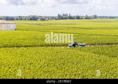 Weingut Château Gruaud Larose in Lesparre-Médoc, Frankreich Stockfoto