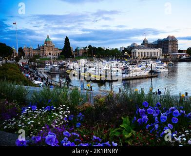 Victoria, British Columbia, Kanada, Binnenhafen bei Sonnenuntergang, mit Blumen, Booten und Reflexionen Stockfoto