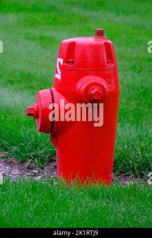 Detail des roten Hydranten in grünem Rasen in der Nachbarschaft für die öffentliche Sicherheit Stockfoto