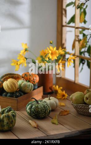 Herbstkomposition aus kleinen Kürbissen und Strauß gelber Blumen auf Holzgrund. Stockfoto