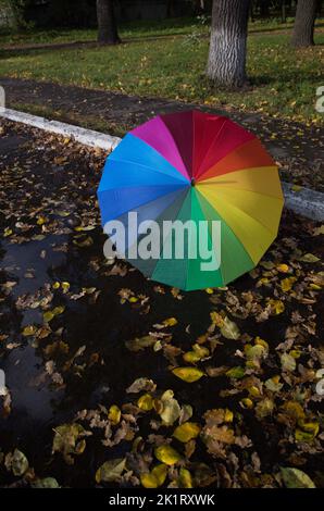 Farbenfrohe Regenbogenfarben stehen auf dem Bürgersteig, nass vom Regen, bestreut mit herbstlich gelb-orangen Blättern. Herbststimmung. Symbol des rai Stockfoto