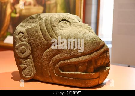 Xolos, Mitreisende, eine Ausstellung, die einen Überblick über Mexikos lokale Hunderassen durch die Geschichte im Museo de las Culturas, Oaxaca de Juarez, Mexiko, bietet Stockfoto