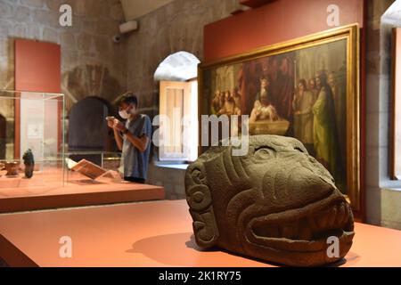 Xolos, Mitreisende, eine Ausstellung, die einen Überblick über Mexikos lokale Hunderassen durch die Geschichte im Museo de las Culturas, Oaxaca de Juarez, Mexiko, bietet Stockfoto