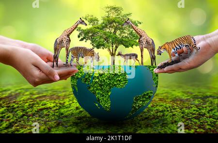 World Animal Day World Wildlife Day Gruppen von wilden Tieren wurden in den Händen der Menschen versammelt Stockfoto