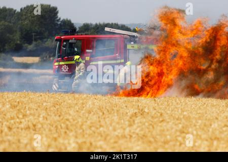 England, Kent, Feuerwehr, die auf landwirtschaftlichen Feldern Feuer nimmt und Getreide in Brand setzt. Stockfoto