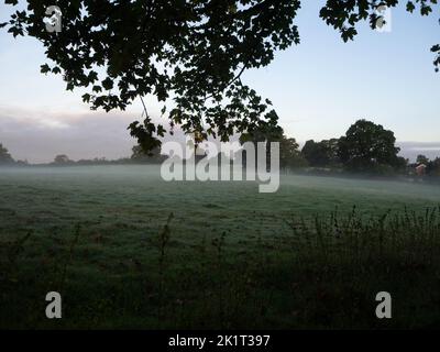 Nebliger Sonnenaufgang in Gawsworth. Über die Felder schauen, während der Nebel hängt Stockfoto
