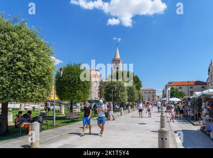 Das Forum Romanum, der Glockenturm der St. Anastasia Kathedrale und die St. Donatus Kirche im historischen Zentrum von Zadar, Kroatien Stockfoto