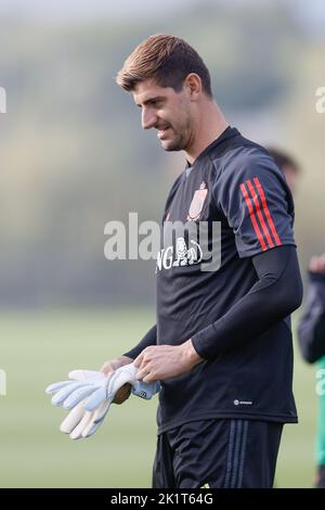 Tubize, Belgien, 20/09/2022, Belgiens Torhüter Thibaut Courtois im Bild während einer Trainingseinheit der belgischen Fußballnationalmannschaft The Red Devils, Dienstag, 20. September 2022, in Tubize, zur Vorbereitung der Nations League-Spiele gegen die Niederlande und Wales. BELGA FOTO BRUNO FAHY Stockfoto